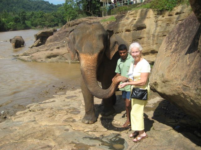 Liz feeding Orphan elephant